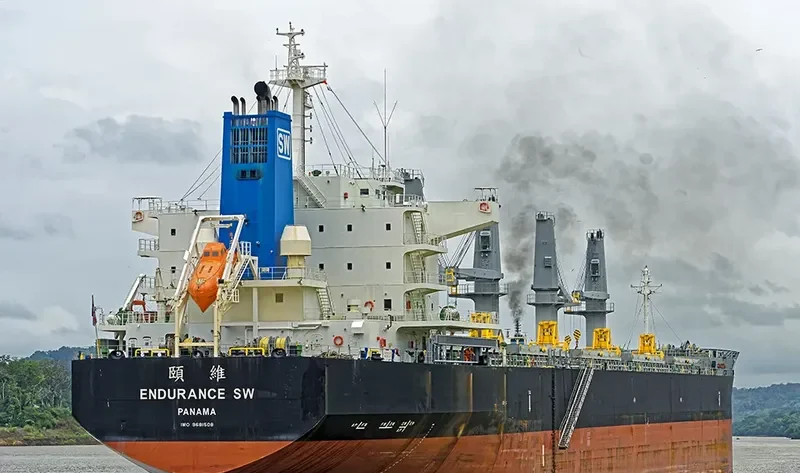 ENDURANCE SW Bulk Carrier IMO 9681508