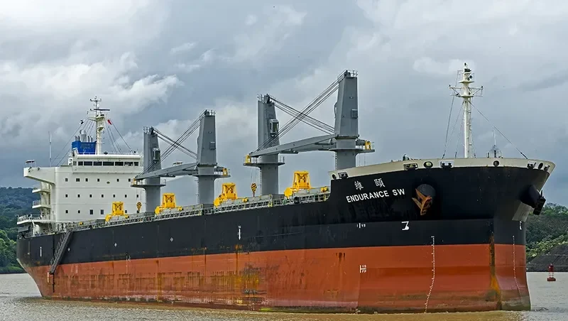ENDURANCE SW Bulk Carrier IMO 9681508 photo 2