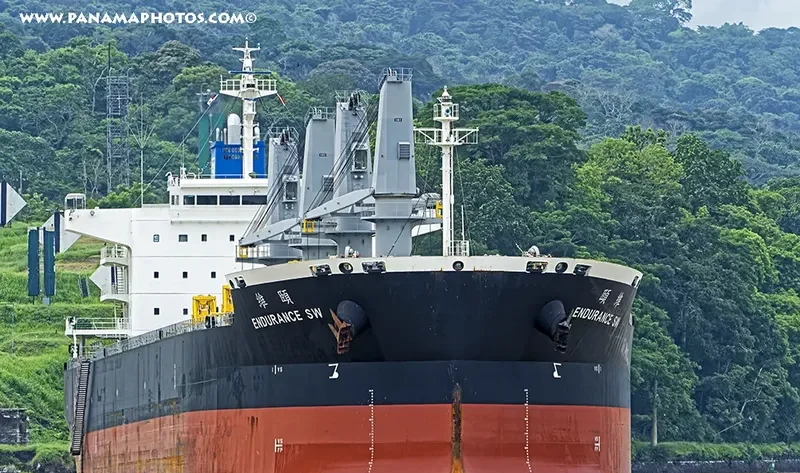 ENDURANCE SW Bulk Carrier IMO 9681508 photo 3