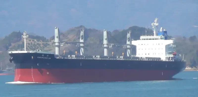 ENDURANCE SW Bulk Carrier IMO 9681508 photo 4