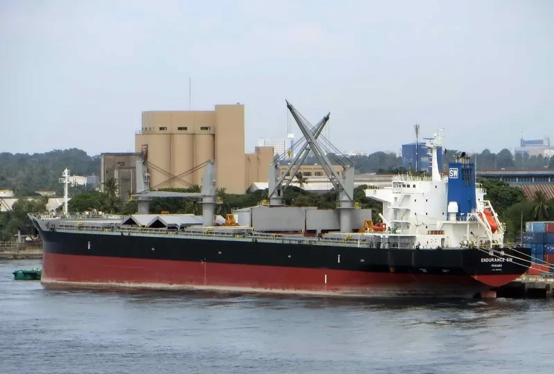 ENDURANCE SW Bulk Carrier IMO 9681508 photo 5