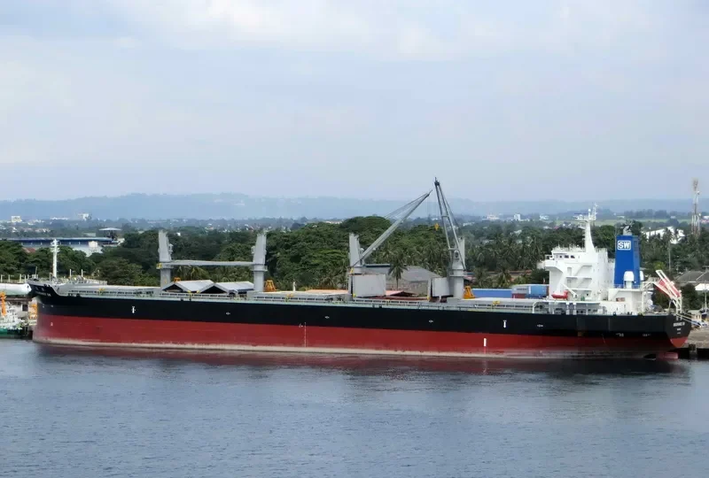 ENDURANCE SW Bulk Carrier IMO 9681508 photo 6