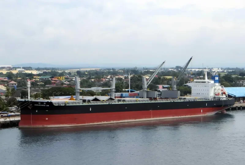 ENDURANCE SW Bulk Carrier IMO 9681508 photo 7