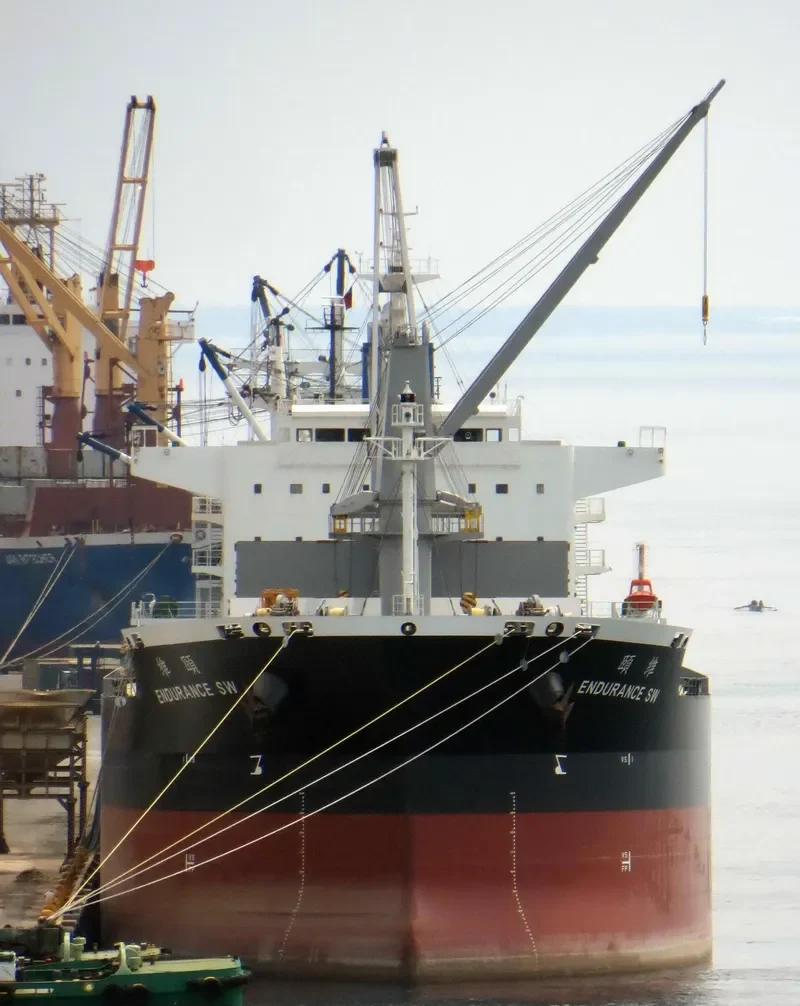 ENDURANCE SW Bulk Carrier IMO 9681508 photo 8