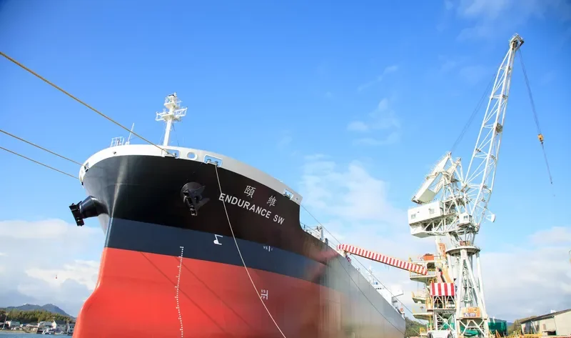 ENDURANCE SW Bulk Carrier IMO 9681508 photo 9