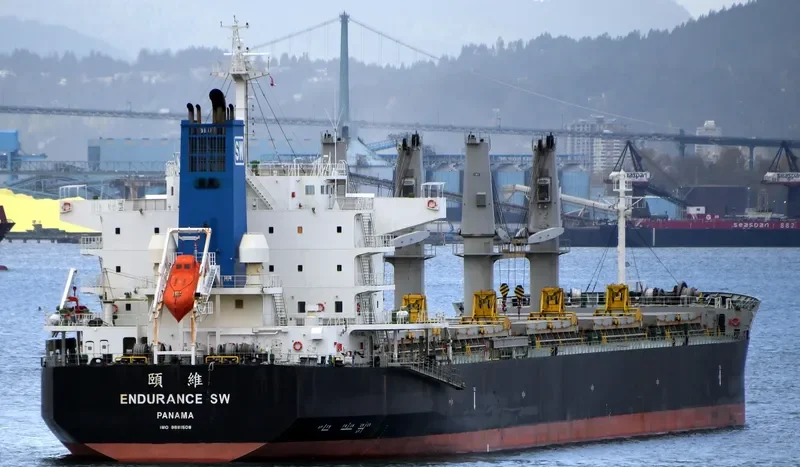 ENDURANCE SW Bulk Carrier IMO 9681508 photo 10