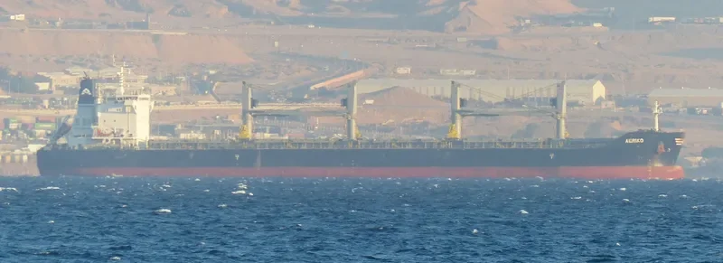 AERIKO Bulk Carrier IMO 9681546
