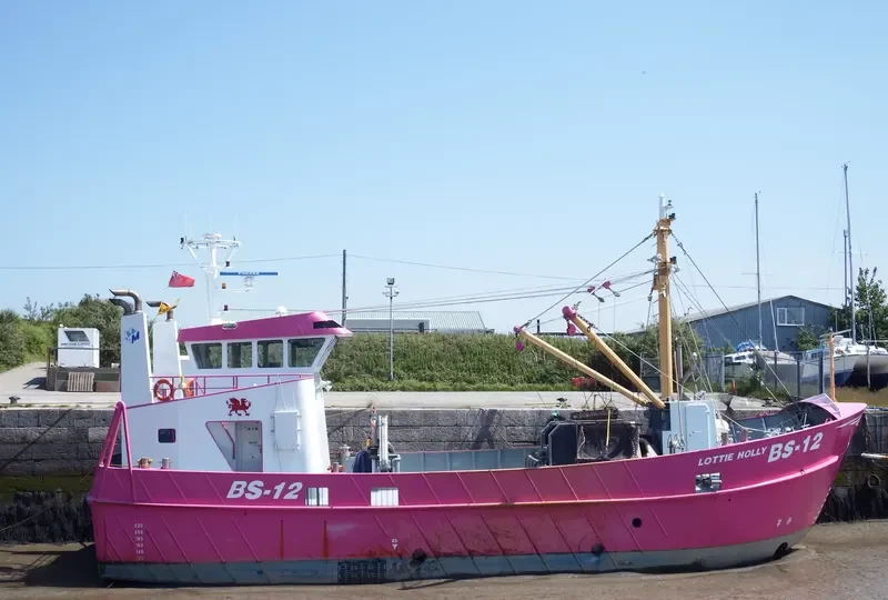 LOTTIE HOLLY General Cargo IMO 9681558 photo 5