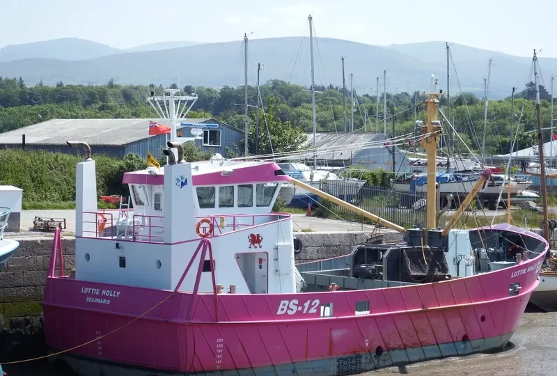 LOTTIE HOLLY General Cargo IMO 9681558 photo 6