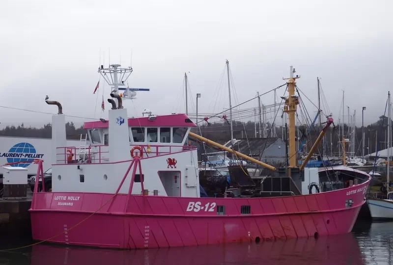 LOTTIE HOLLY General Cargo IMO 9681558 photo 8