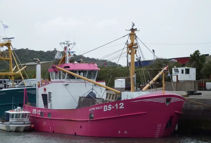 LOTTIE HOLLY General Cargo IMO 9681558 photo 9