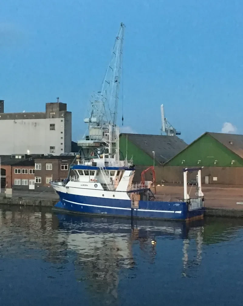 AURORA General Cargo IMO 9681596 photo 2