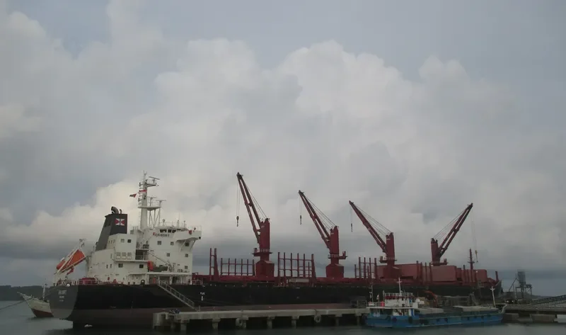 ERISORT Bulk Carrier IMO 9681895