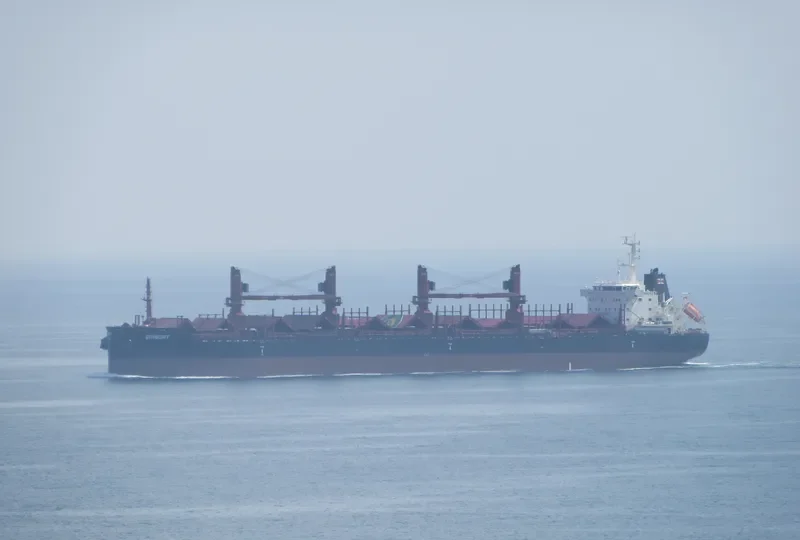 ERISORT Bulk Carrier IMO 9681895 photo 2