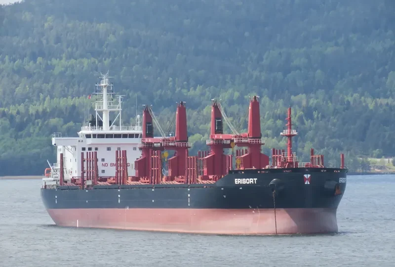 ERISORT Bulk Carrier IMO 9681895 photo 3