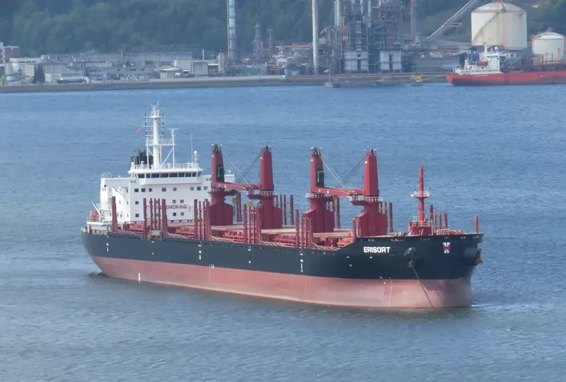 ERISORT Bulk Carrier IMO 9681895 photo 4