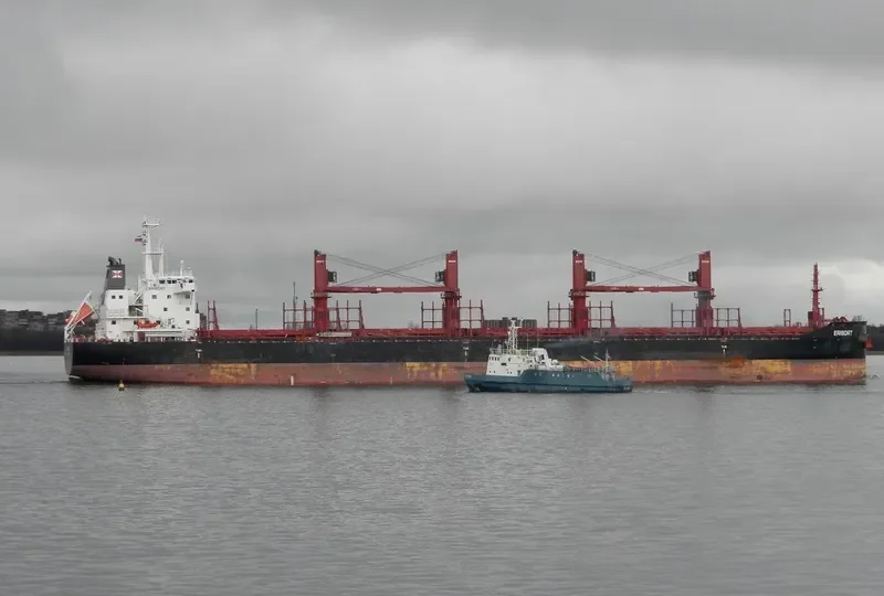 ERISORT Bulk Carrier IMO 9681895 photo 8