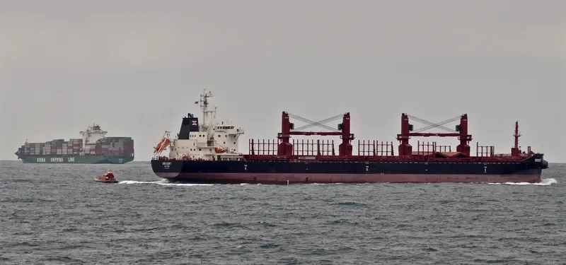 ERISORT Bulk Carrier IMO 9681895 photo 9