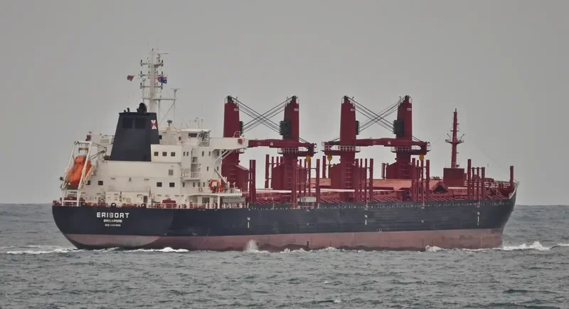 ERISORT Bulk Carrier IMO 9681895 photo 10