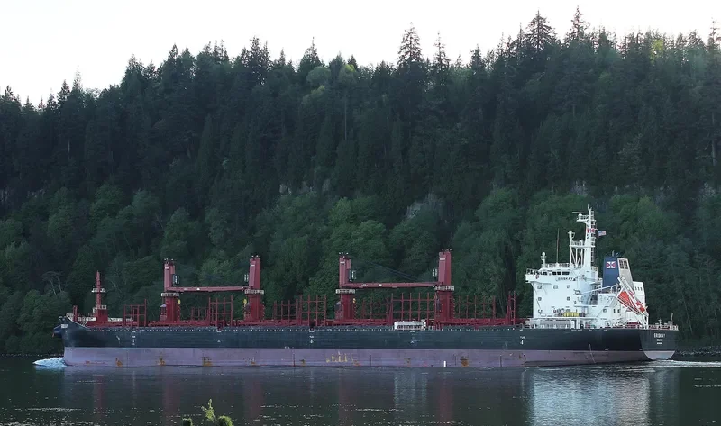ERISKAY Bulk Carrier IMO 9681900 photo 9
