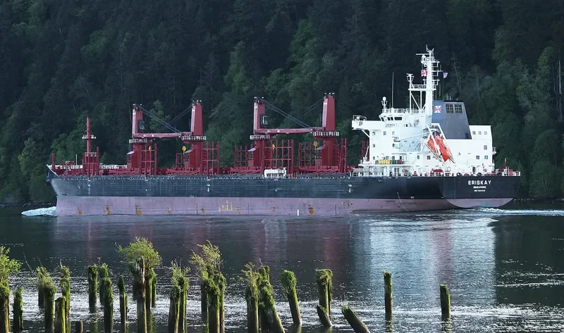 ERISKAY Bulk Carrier IMO 9681900 photo 10