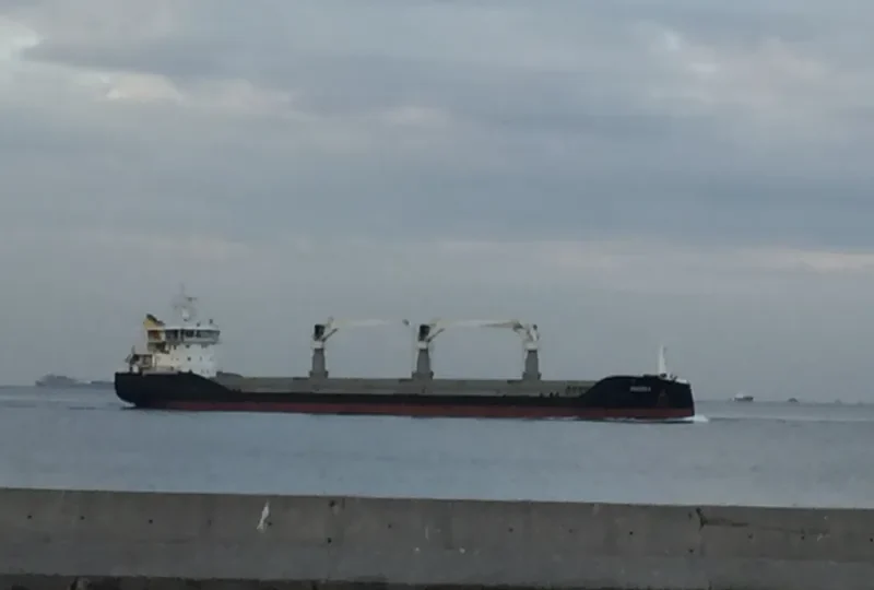PONTICA General Cargo IMO 9681974 photo 3