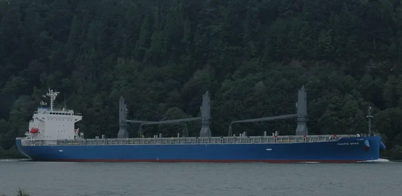 PACIFIC SPIKE General Cargo IMO 9681998 photo 8