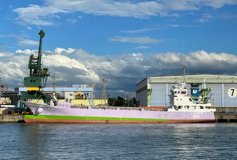 CHIYO MARU General Cargo IMO 9682057 photo 8
