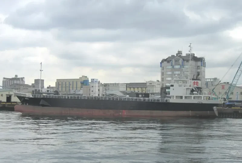 KYODO MARU General Cargo IMO 9682095