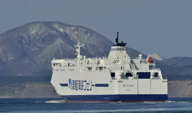 BLUE MERMAID Ro-Ro IMO 9682136 photo 3
