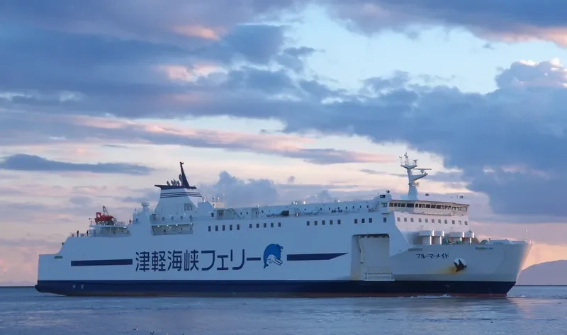 BLUE MERMAID Ro-Ro IMO 9682136 photo 5