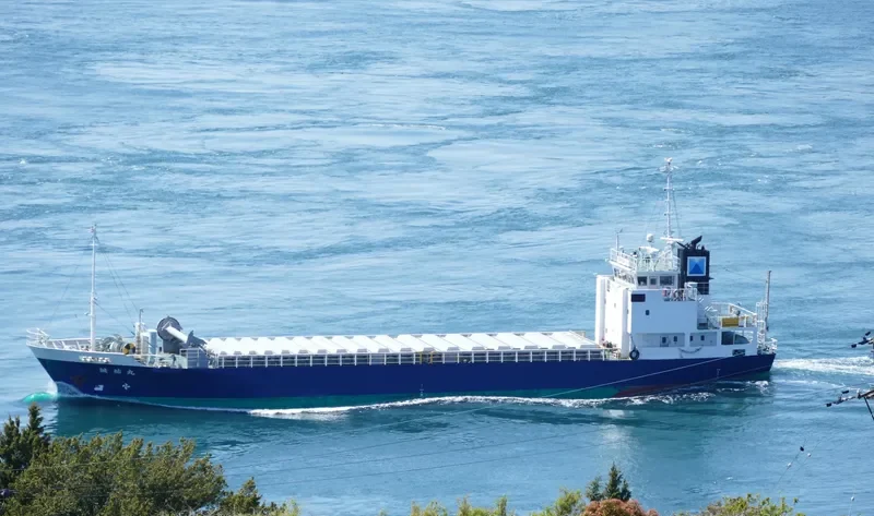 SEIYU MARU General Cargo IMO 9682174 photo 7