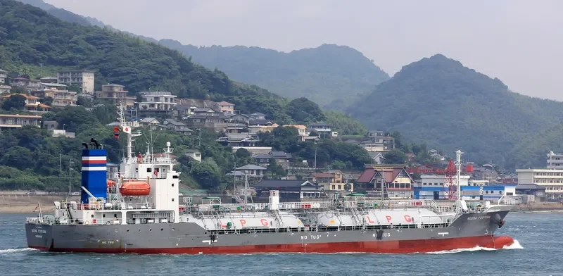 BUENA FORTUNA General Cargo IMO 9682198 photo 2