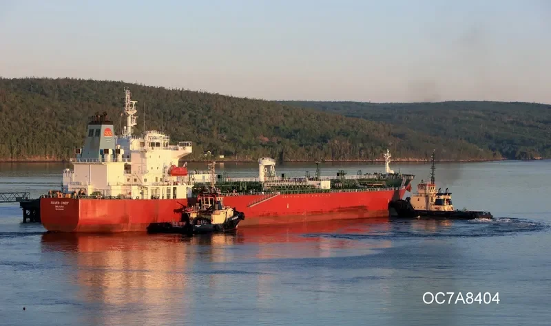 SILVER CINDY Tanker IMO 9682368 photo 3
