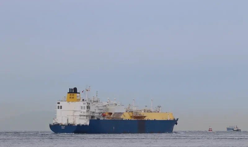 AMADI General Cargo IMO 9682552 photo 8