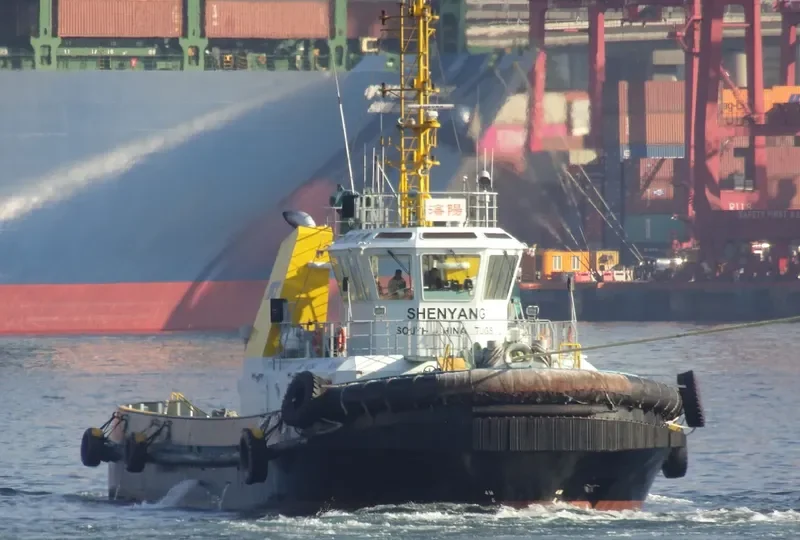 SHENYANG General Cargo IMO 9682564