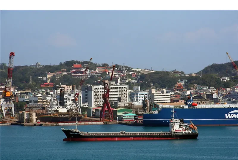 NEW SILK ROAD 2 General Cargo IMO 9682679 photo 4