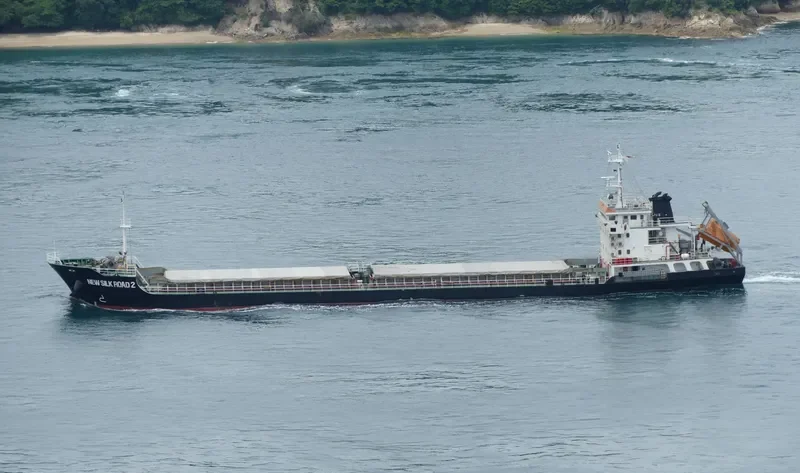 NEW SILK ROAD 2 General Cargo IMO 9682679 photo 5