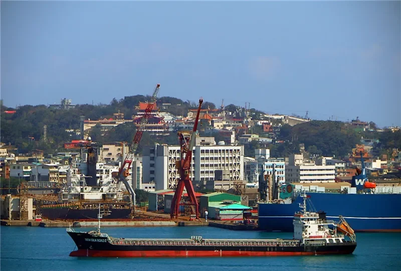 NEW SILK ROAD 2 General Cargo IMO 9682679 photo 6