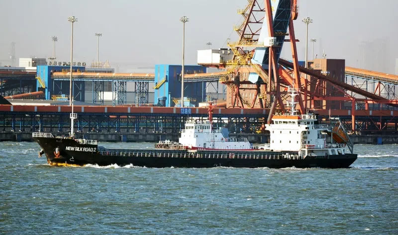 NEW SILK ROAD 2 General Cargo IMO 9682679 photo 10