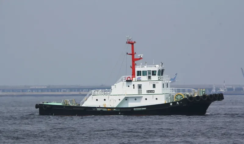 DEWA MARU General Cargo IMO 9682710