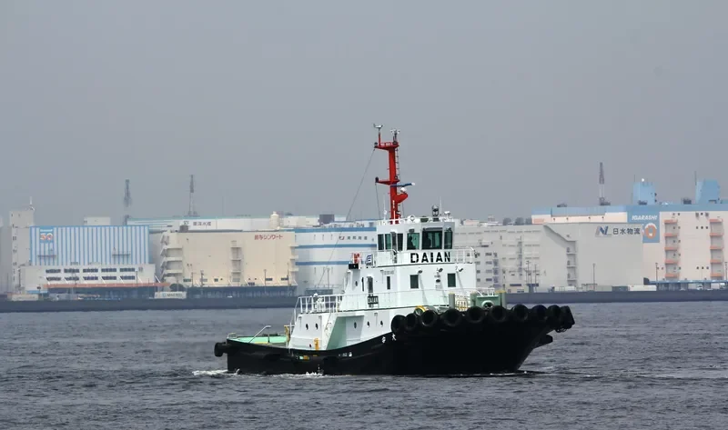 DEWA MARU General Cargo IMO 9682710 photo 2