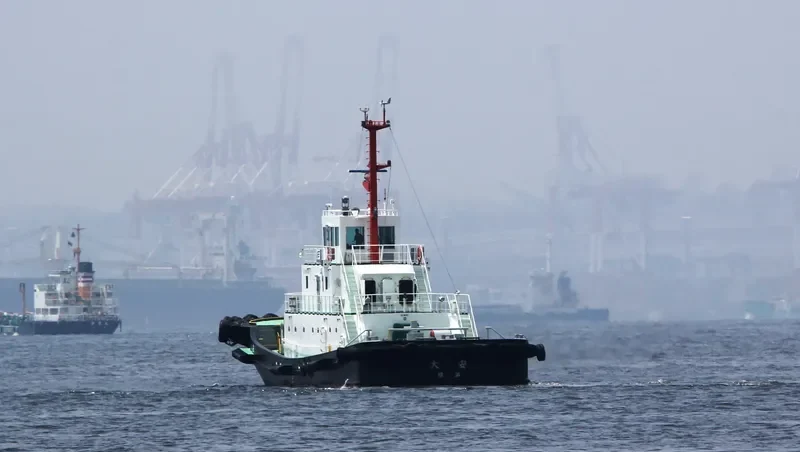 DEWA MARU General Cargo IMO 9682710 photo 5