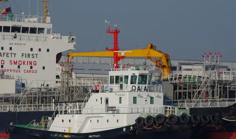 DEWA MARU General Cargo IMO 9682710 photo 7