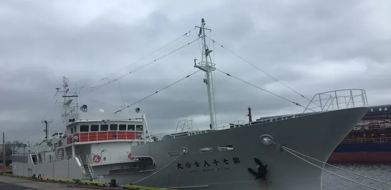 KOEI MARU NO.78 General Cargo IMO 9682746 photo 2