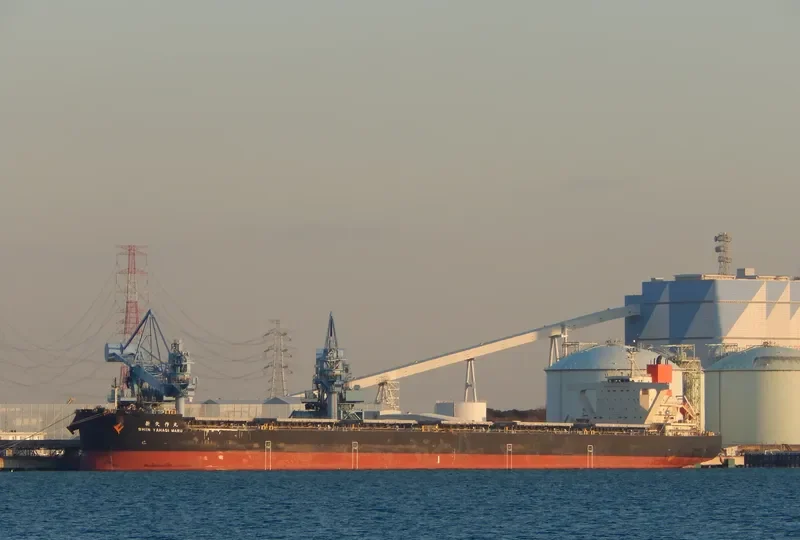 SHIN YAHAGI MARU Bulk Carrier IMO 9682758
