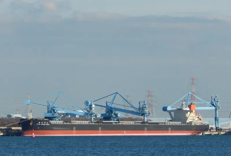 SHIN YAHAGI MARU Bulk Carrier IMO 9682758 photo 2