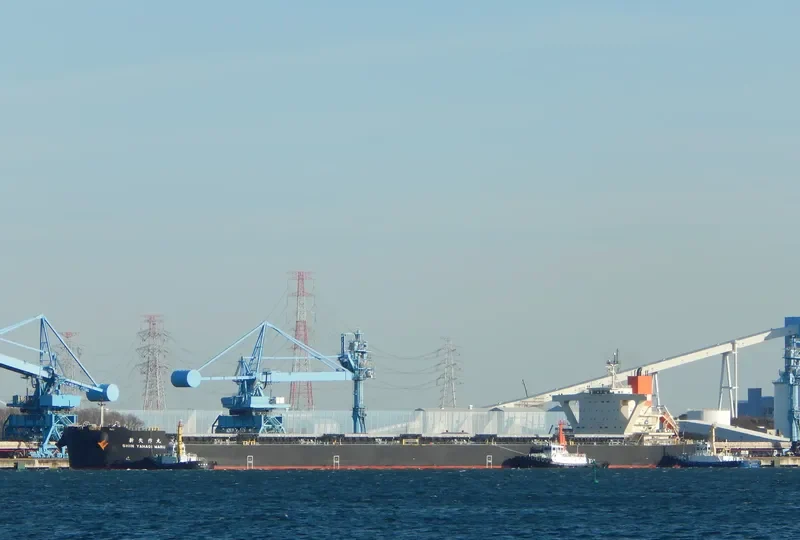 SHIN YAHAGI MARU Bulk Carrier IMO 9682758 photo 3