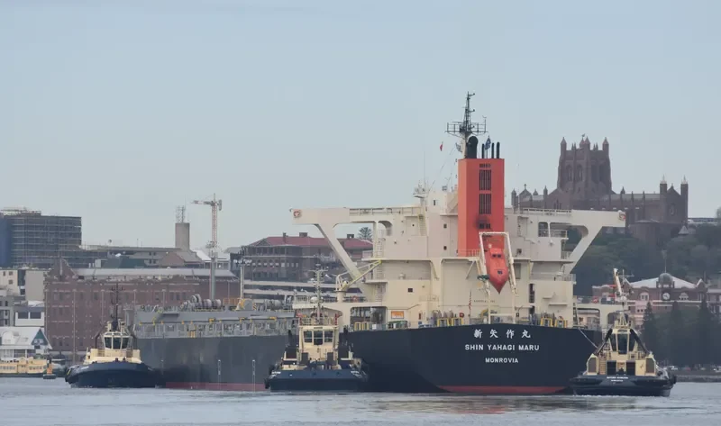 SHIN YAHAGI MARU Bulk Carrier IMO 9682758 photo 4