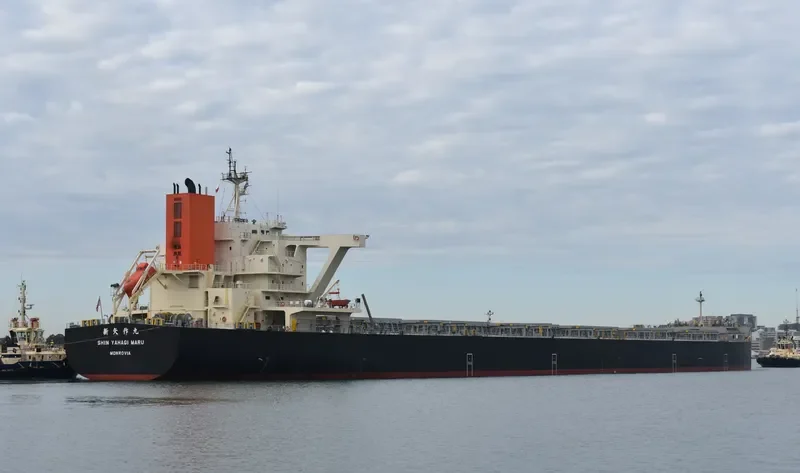 SHIN YAHAGI MARU Bulk Carrier IMO 9682758 photo 6